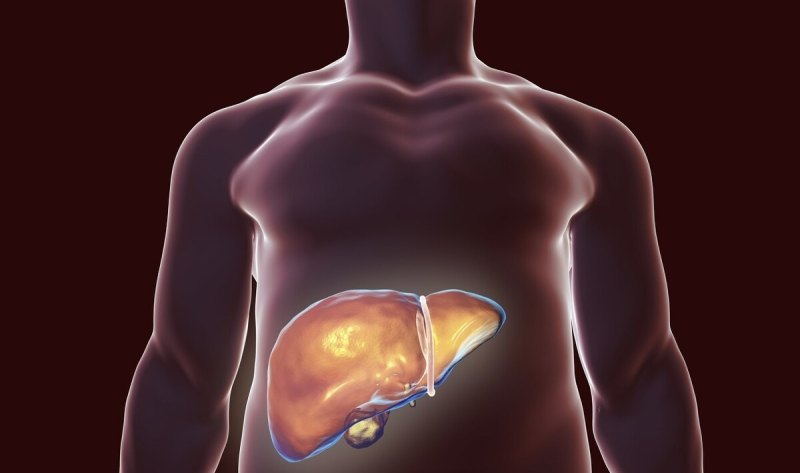 肝痛一般在哪个部位 - 汇30资讯