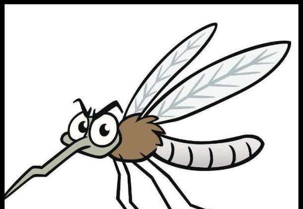 如何防蚊子 - 汇30资讯