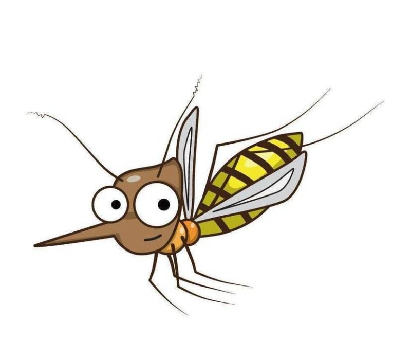 如何防蚊子 - 汇30资讯