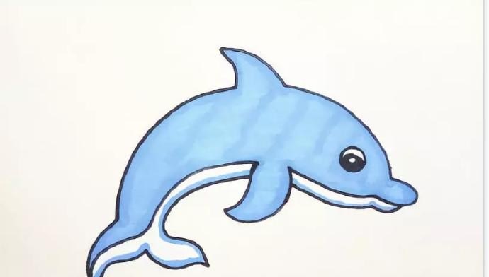 海豚怎么画 - 汇30资讯
