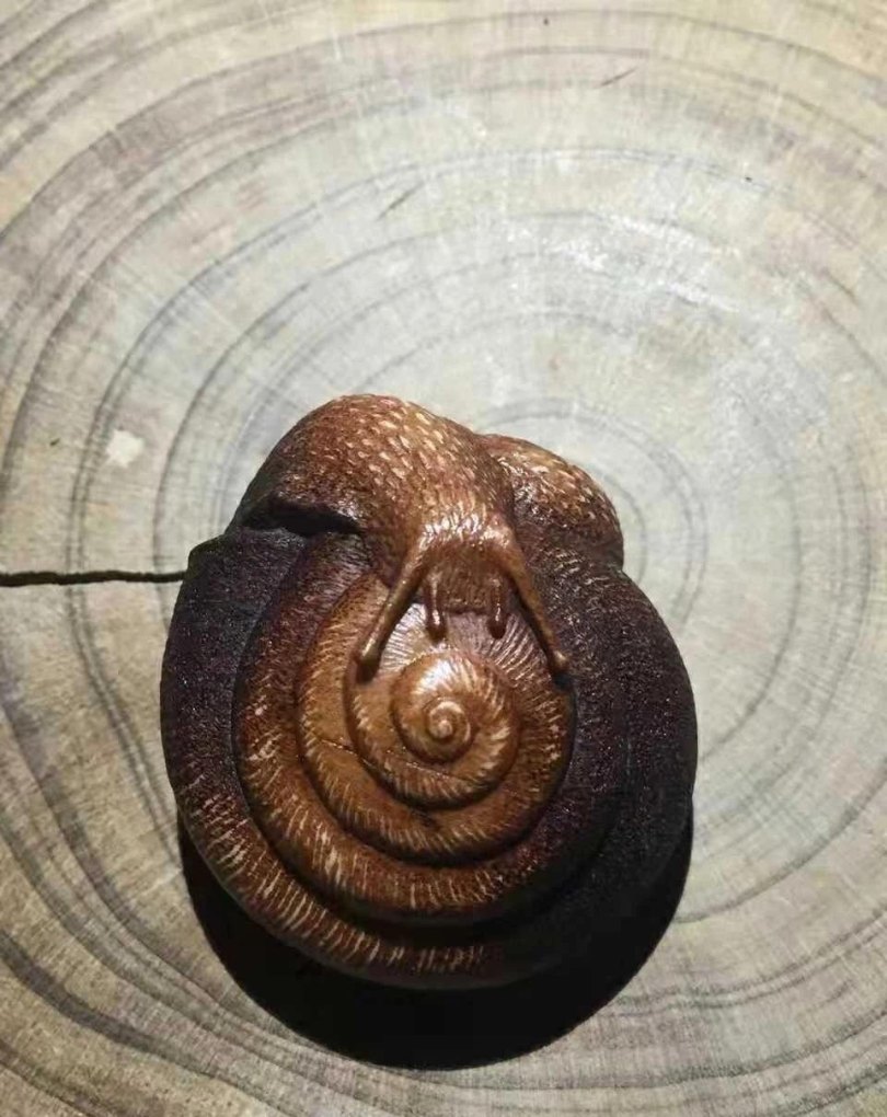 蜗牛怎么做手工 - 汇30资讯