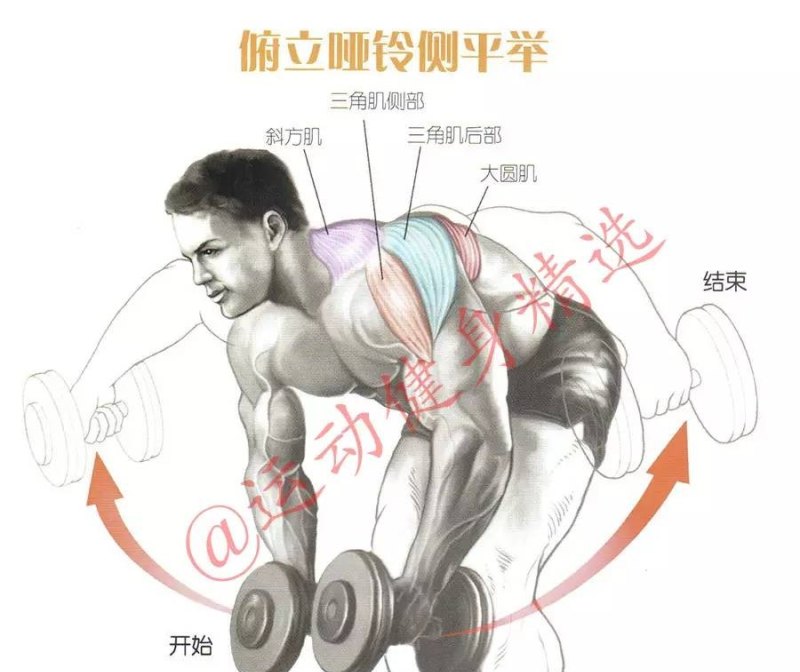 肩部肌肉锻炼的详细攻略是什么 - 汇30资讯