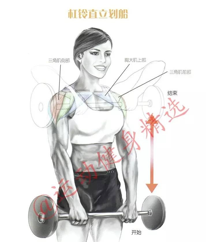 肩部肌肉锻炼的详细攻略是什么 - 汇30资讯