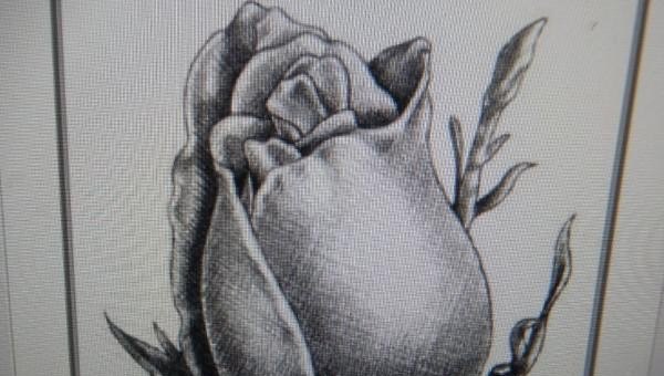玫瑰花怎么画，怎么学习画玫瑰花 - 汇30资讯