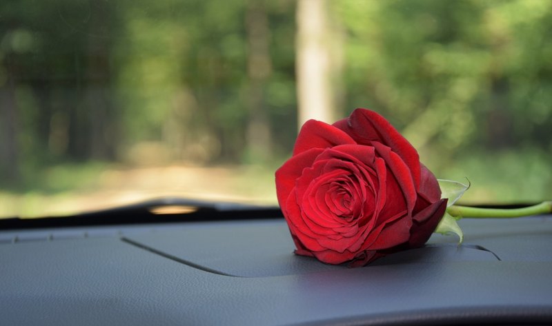 玫瑰喷漆用哪些品种的玫瑰，汽车喷漆玫瑰品种推荐价格 - 汇30资讯