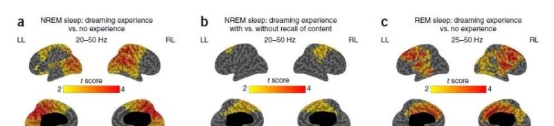 科学分析，我们在睡眠的时候是否可以学习 - 汇30资讯