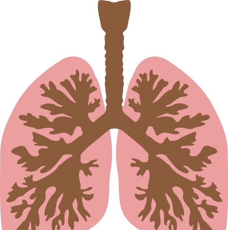 肺火过旺有哪些表现 - 汇30资讯